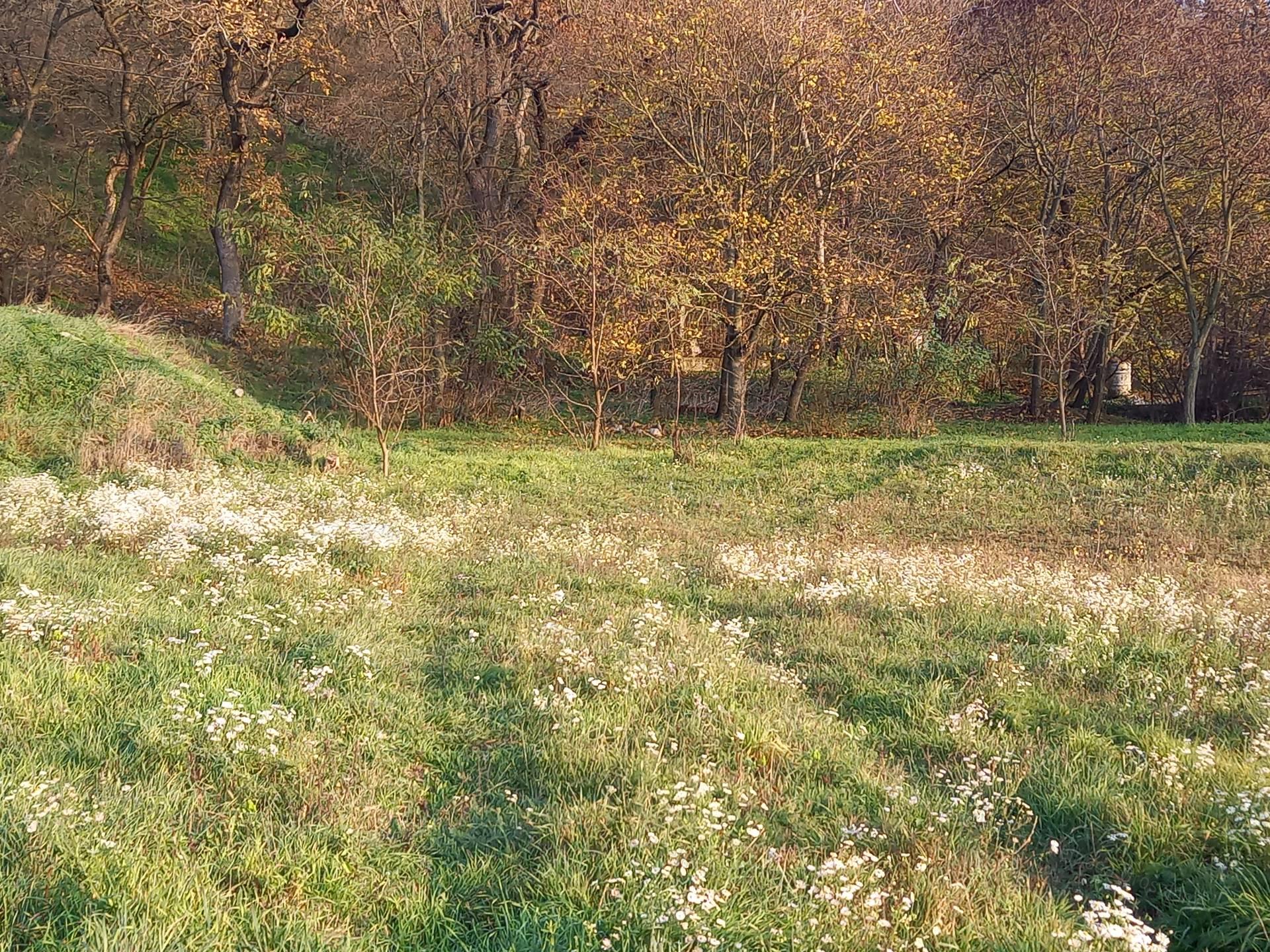 Tatabánya Kőhegy sétány - gyönyörű panorámával építési telek eladó