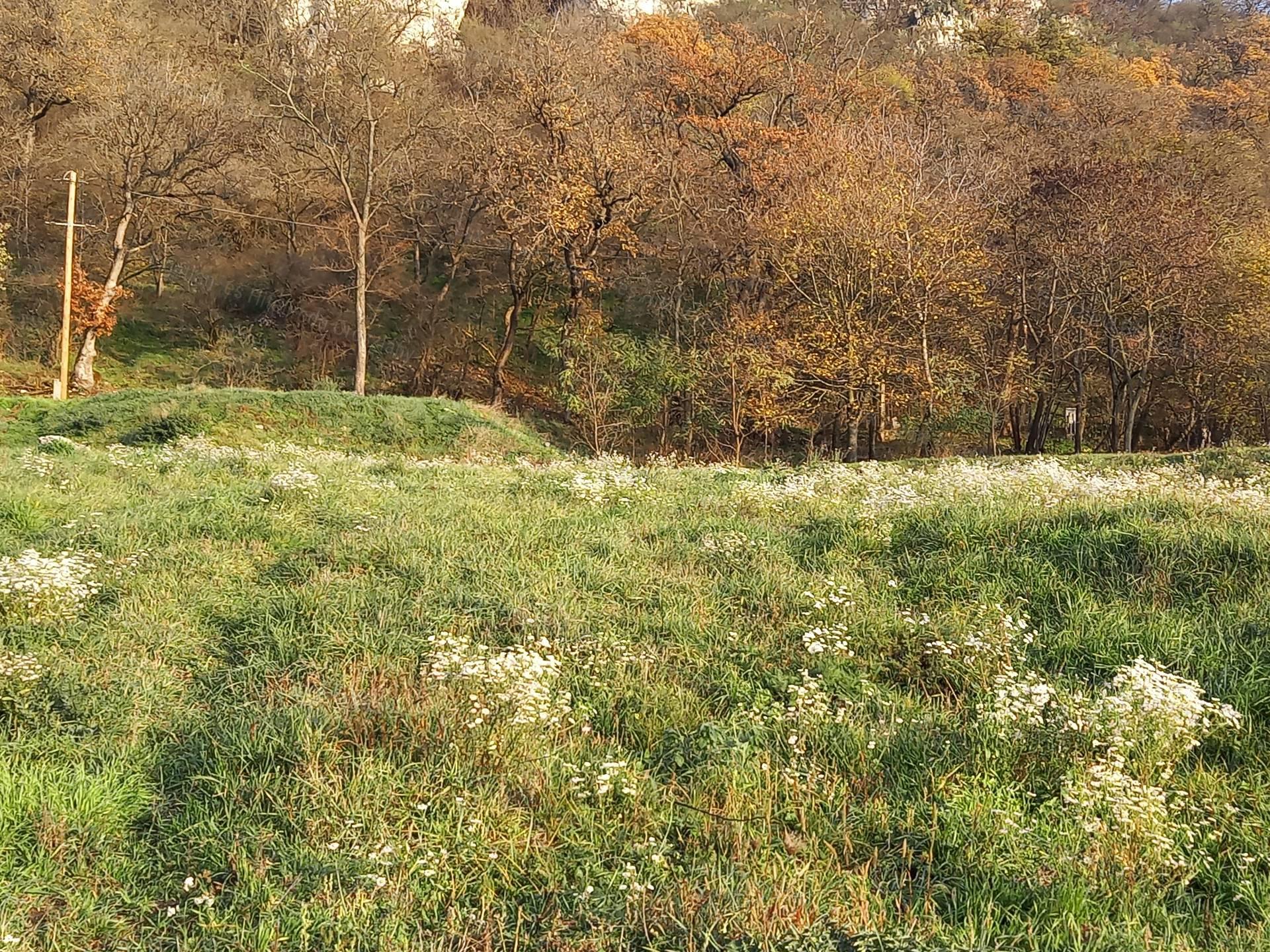 Tatabánya Kőhegy sétány - gyönyörű panorámával építési telek eladó