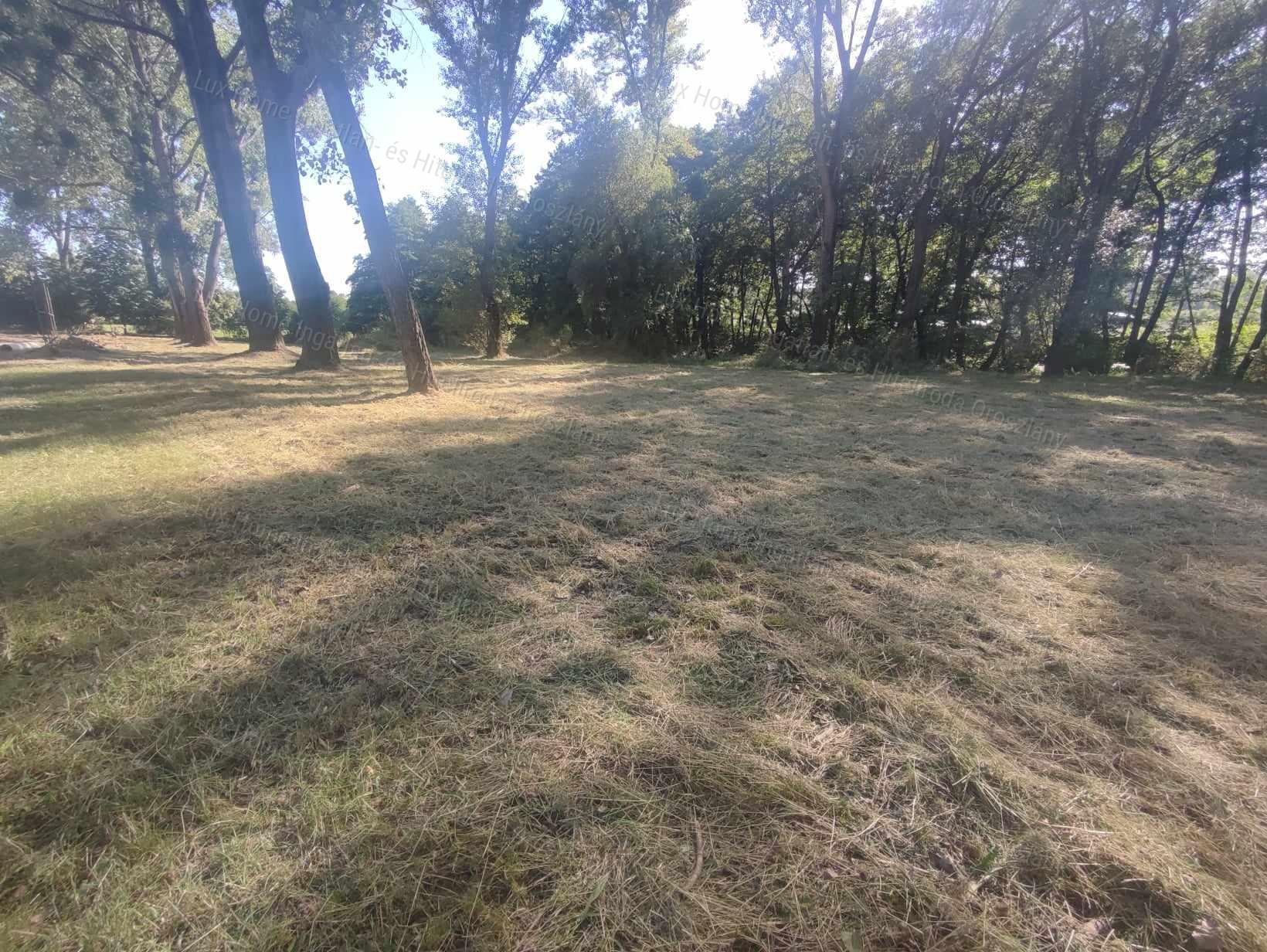 Oroszlány ipari park közelében ELADÓ 10125 nm terület