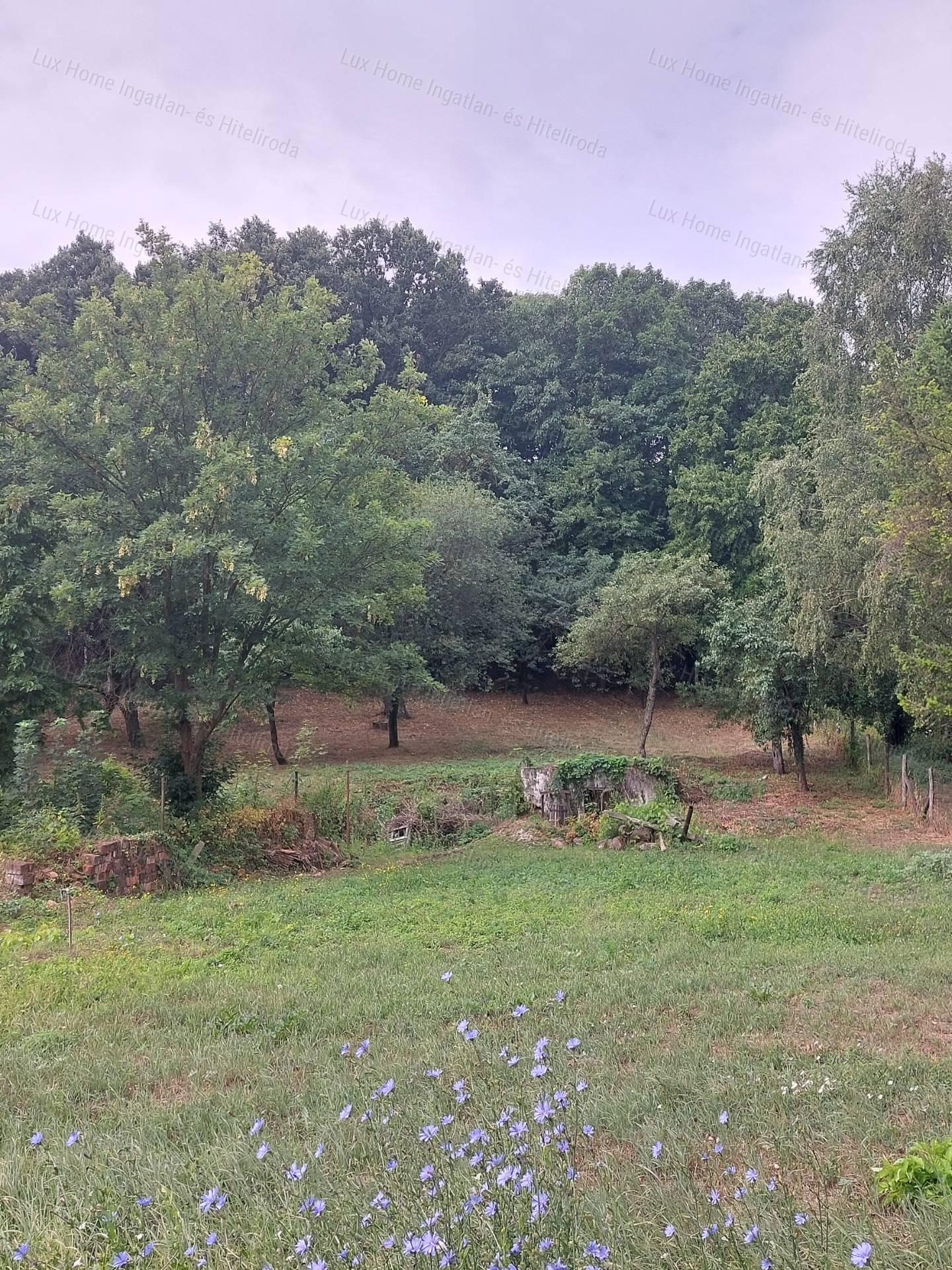 Eladó 1810 nm-es építési telek Óbarok - Nagyegyházán