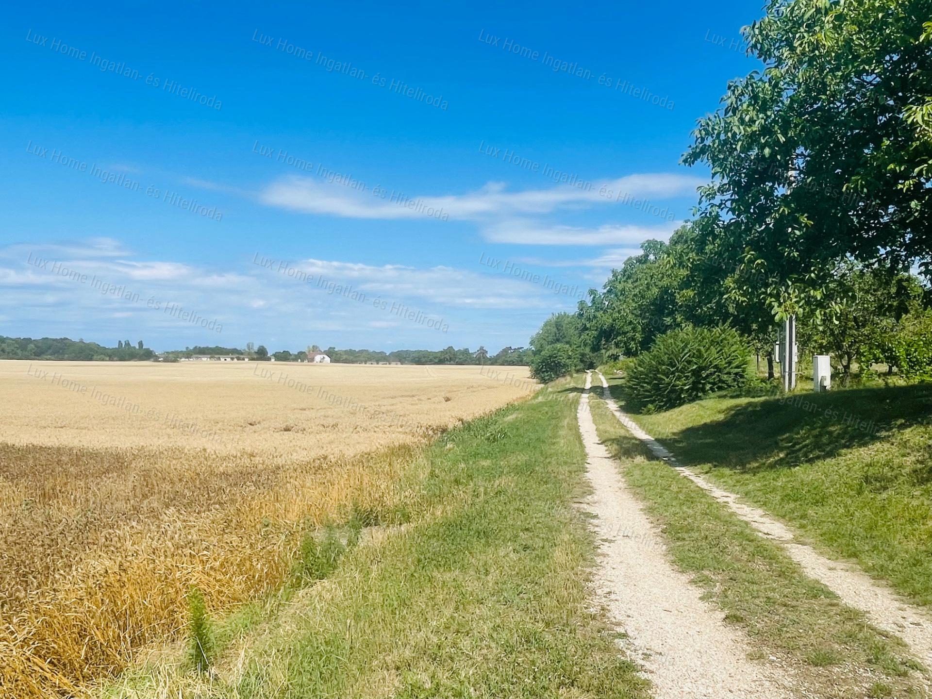 Keresel egy nyugodt helyet? Eladó Zártkert Szőny-Bélapusztán!