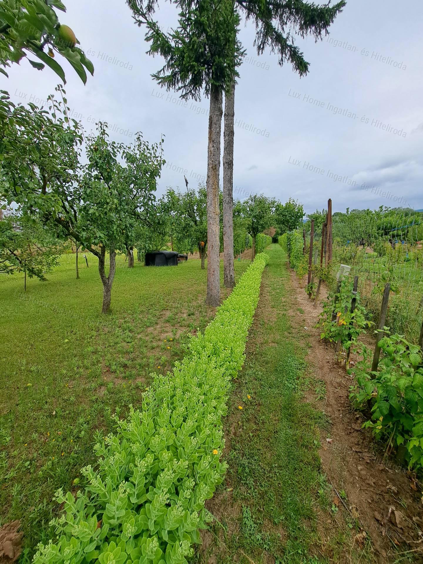 Eladó csendes, panorámás telek házzal és melléképületekkel!