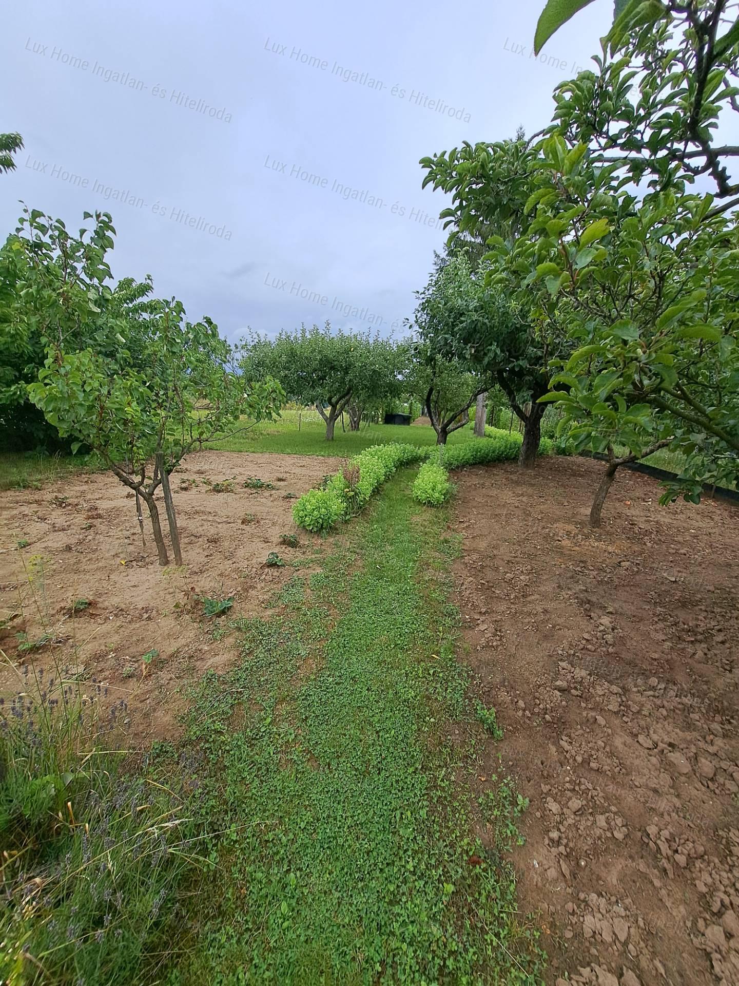 Eladó csendes, panorámás telek házzal és melléképületekkel!
