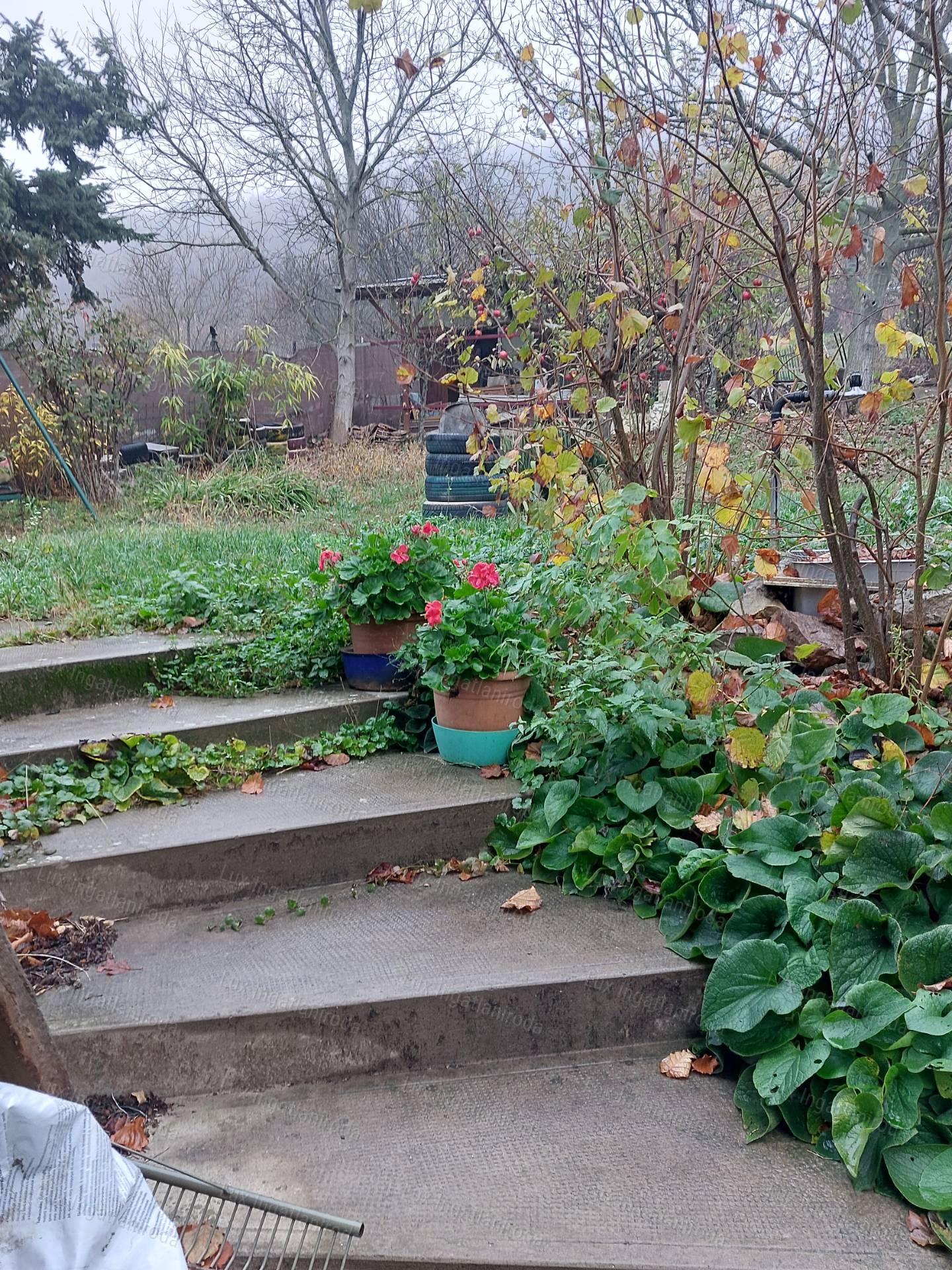 Ház Héregen, a Bikaréti dűlőben, szőlővel eladó