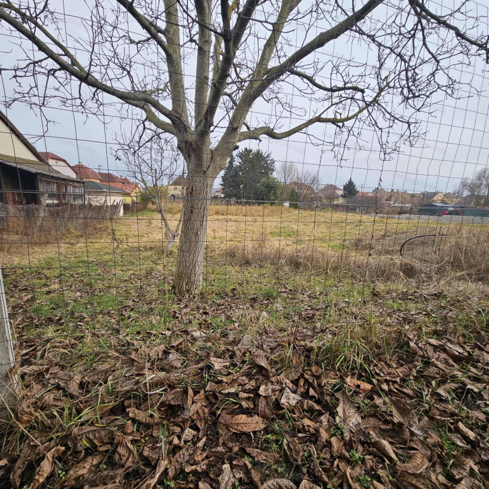 Eladó építési telek Kecskéd szívében! Csendes, forgalommentes környezetben!