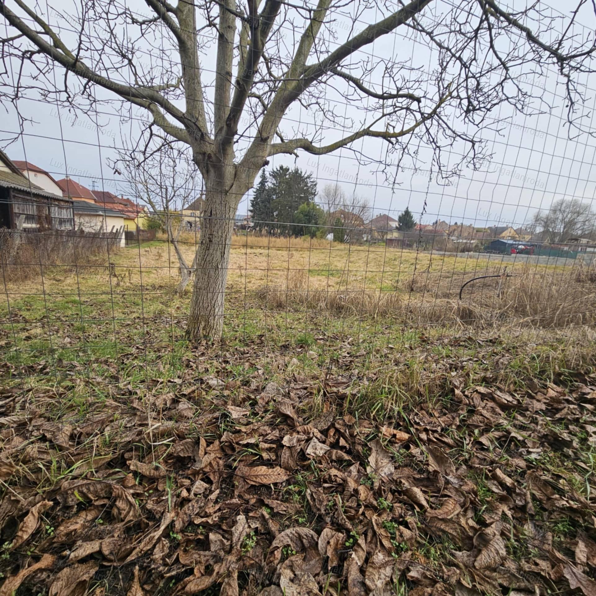 Eladó építési telek Kecskéd szívében! Csendes, forgalommentes környezetben!