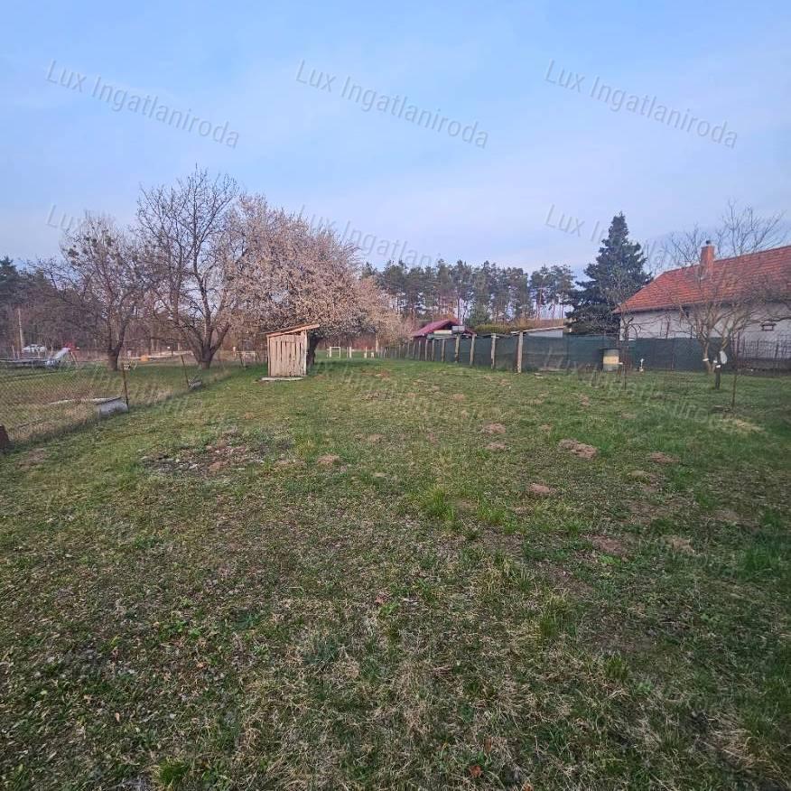 Most még kert, holnap otthon! Eladó külterületi telek Oroszlányon!