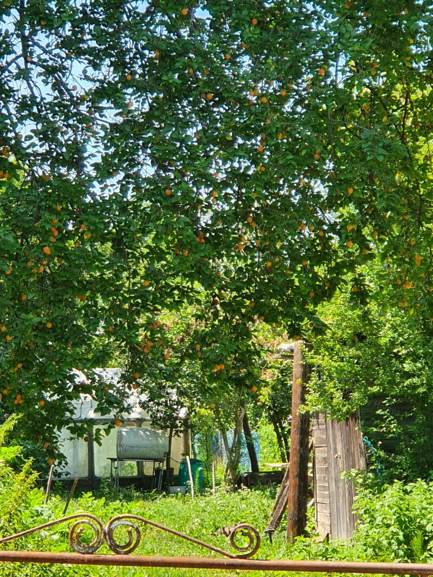 Eladó lakóövezeti telek Zalaegerszeg. Elsődleges fotó (29142954) Eladó lakóövezeti telek Zalaegerszeg. Elsődleges fotó (29142954)