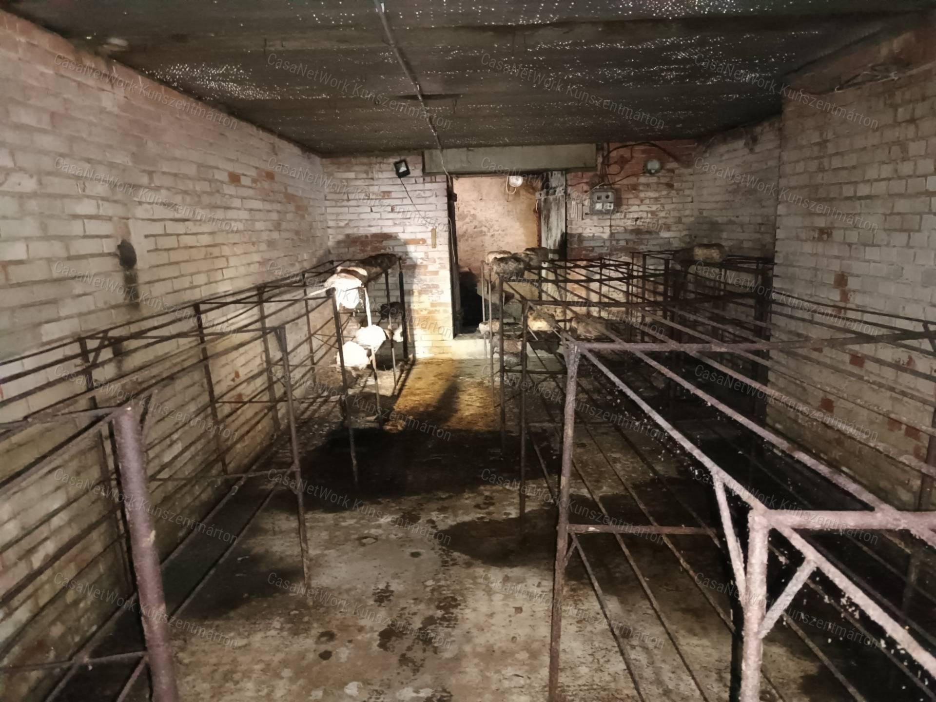 Kunszentmártonban eladó építési telek 350m2-es pincével