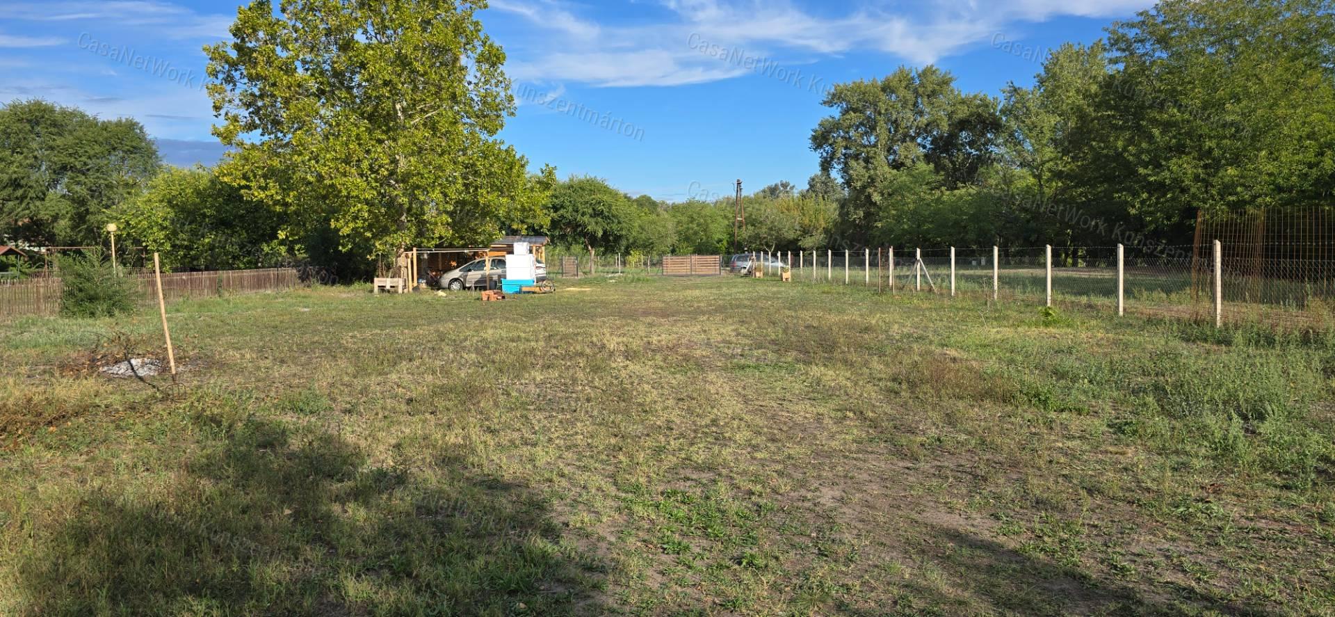 Tiszaalpáron a Holtágnál eladó telek, 31 m2-es nyaralóval