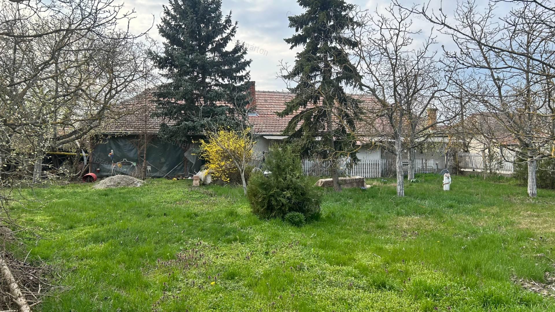 Cibakházán eladó, központhoz közel, 3 szobás családi ház