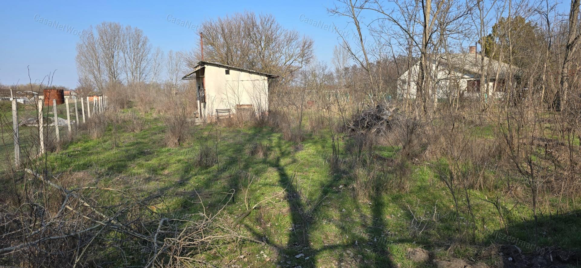 Cserkeszőlőn eladó 1802 nm-es telek, 13 nm-es téglaházzal