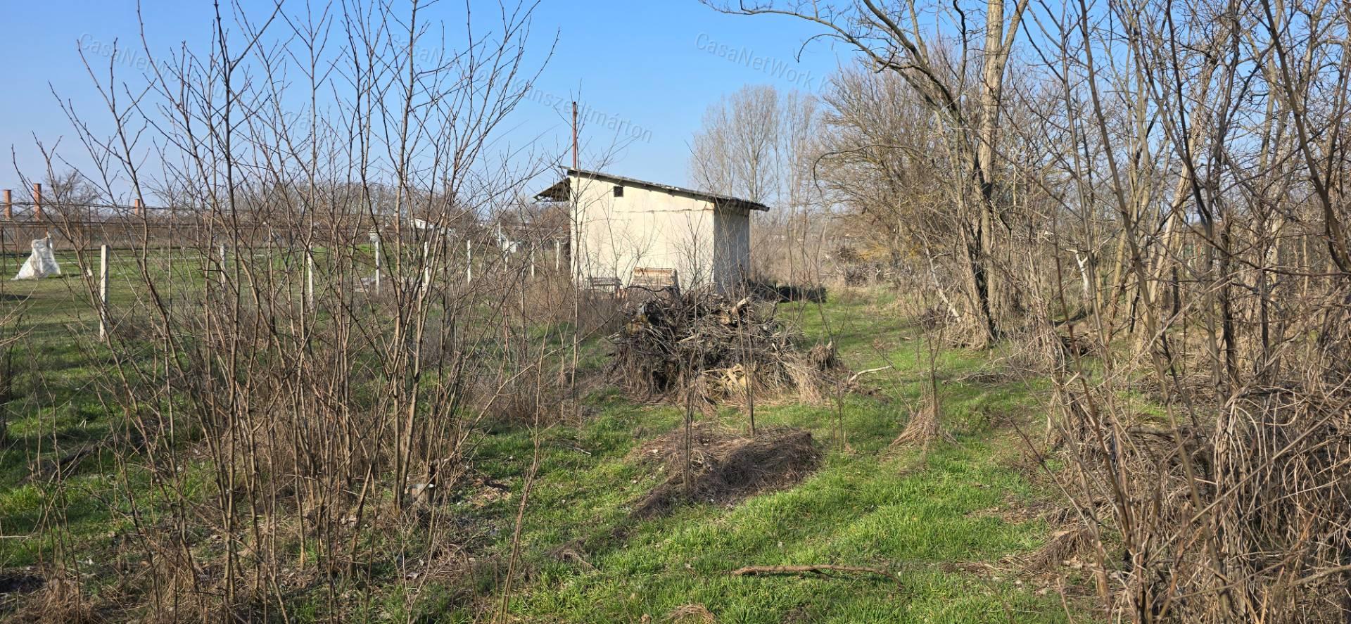 Cserkeszőlőn eladó 1802 nm-es telek, 13 nm-es téglaházzal