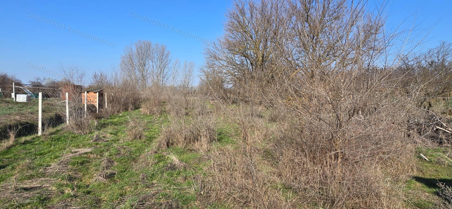 Cserkeszőlőn eladó 1802 nm-es telek, 13 nm-es téglaházzal