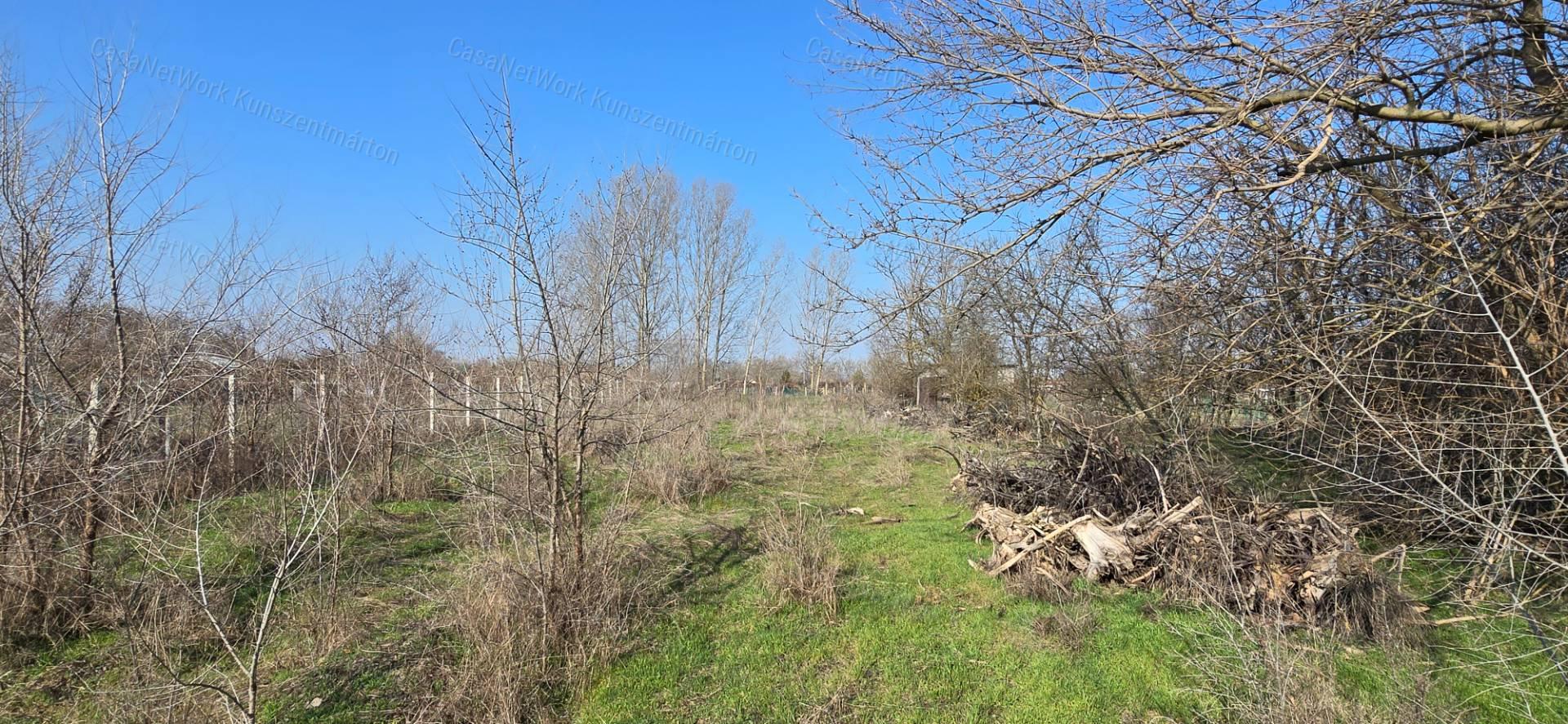 Cserkeszőlőn eladó 1802 nm-es telek, 13 nm-es téglaházzal
