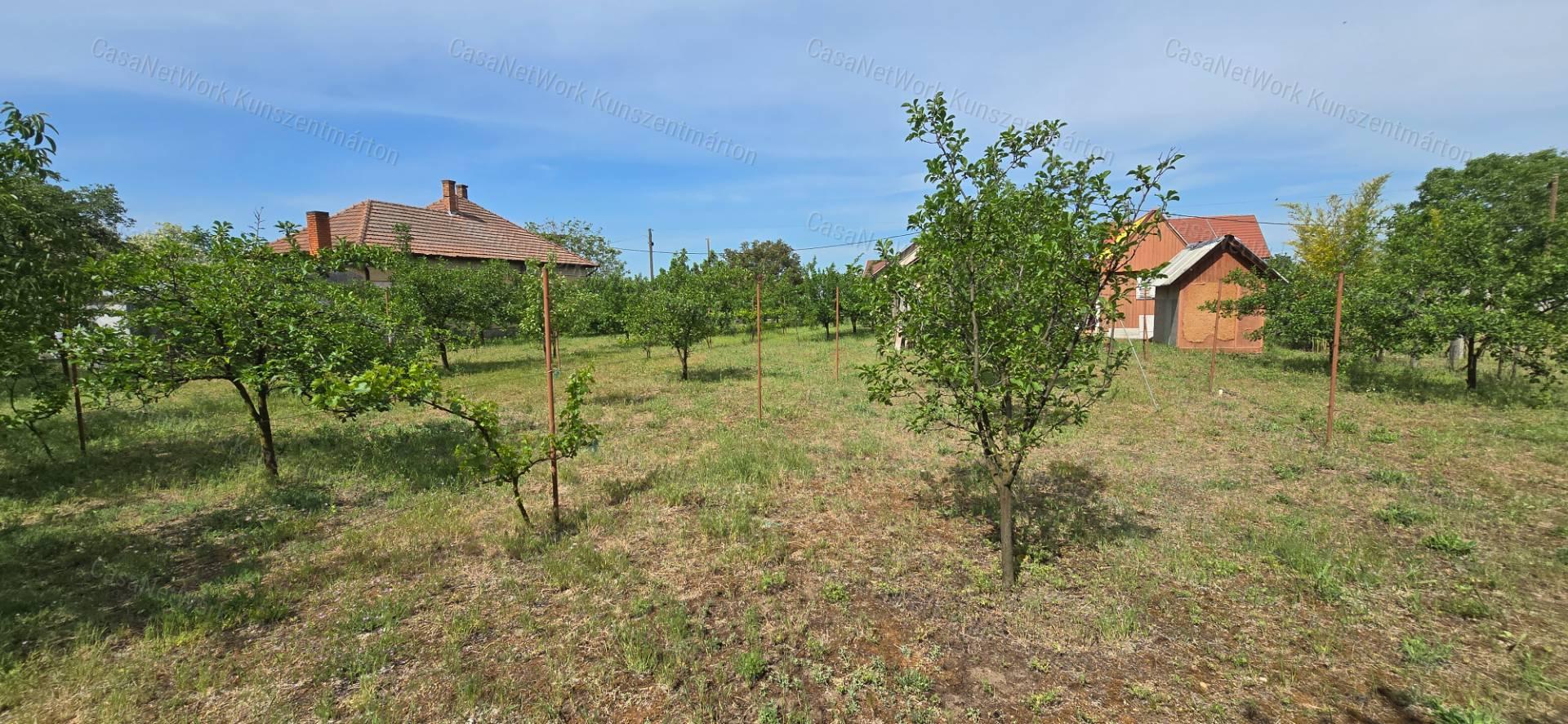 Cserkeszőlőn eladó kétszobás nyaraló, gyümölcsössel