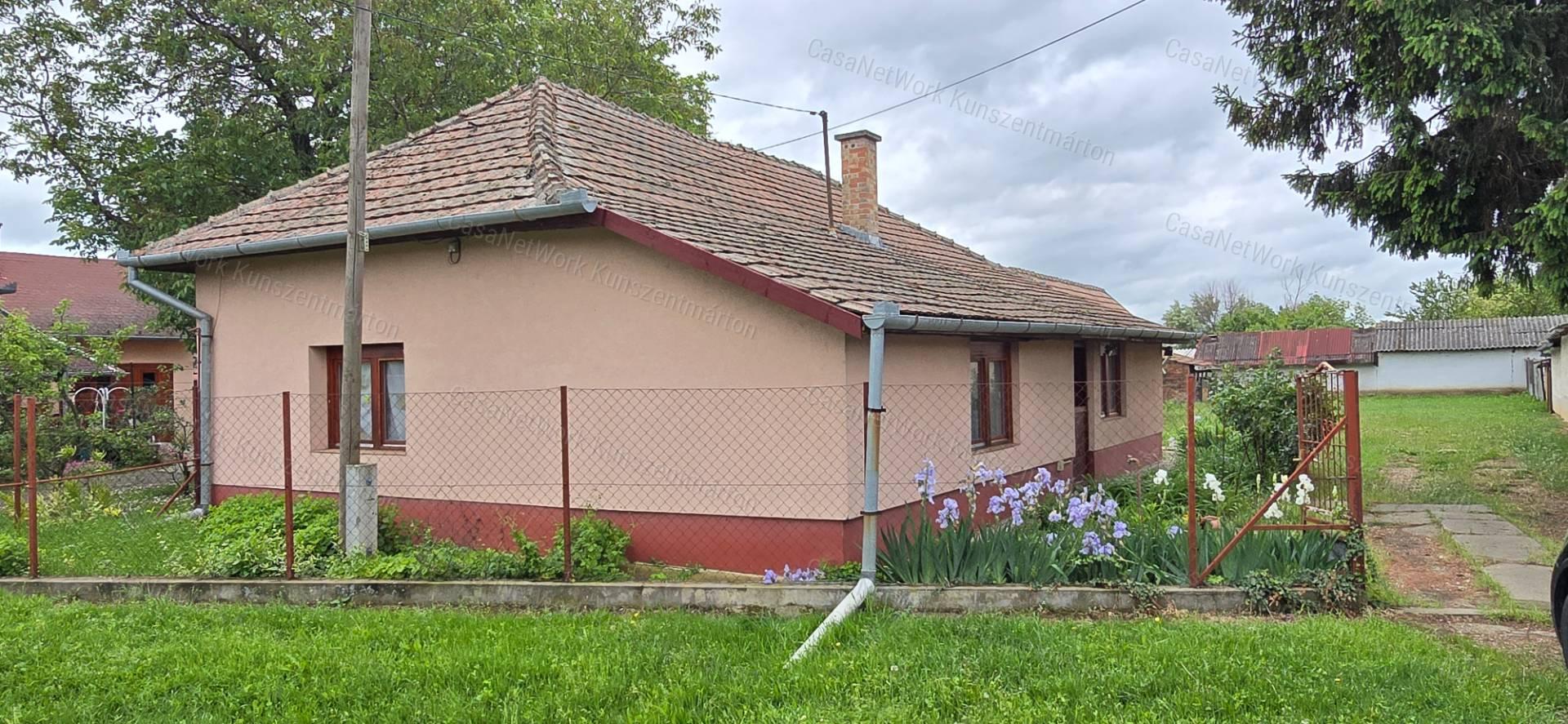 Tiszaföldváron eladó azonnal költözhető családi ház