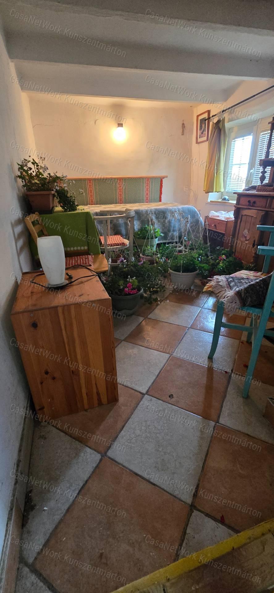 Csépán eladó családi ház, gyönyörű, parkosított kerttel, pergolákkal