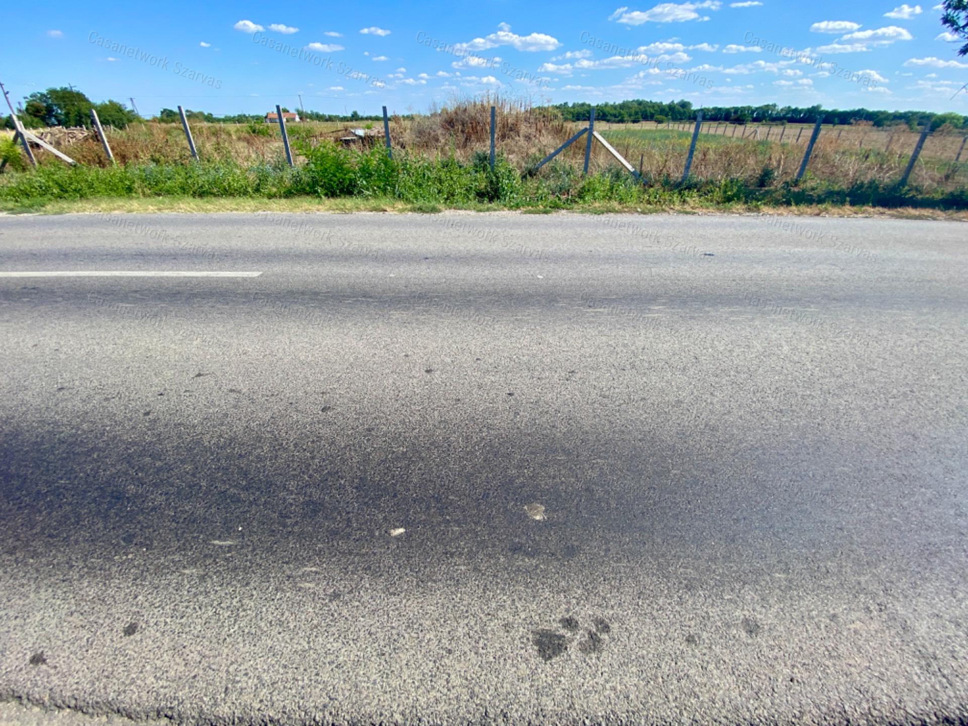 Szarvas külterületén, az M44-es gyorsforgalmi út közelében telek eladó