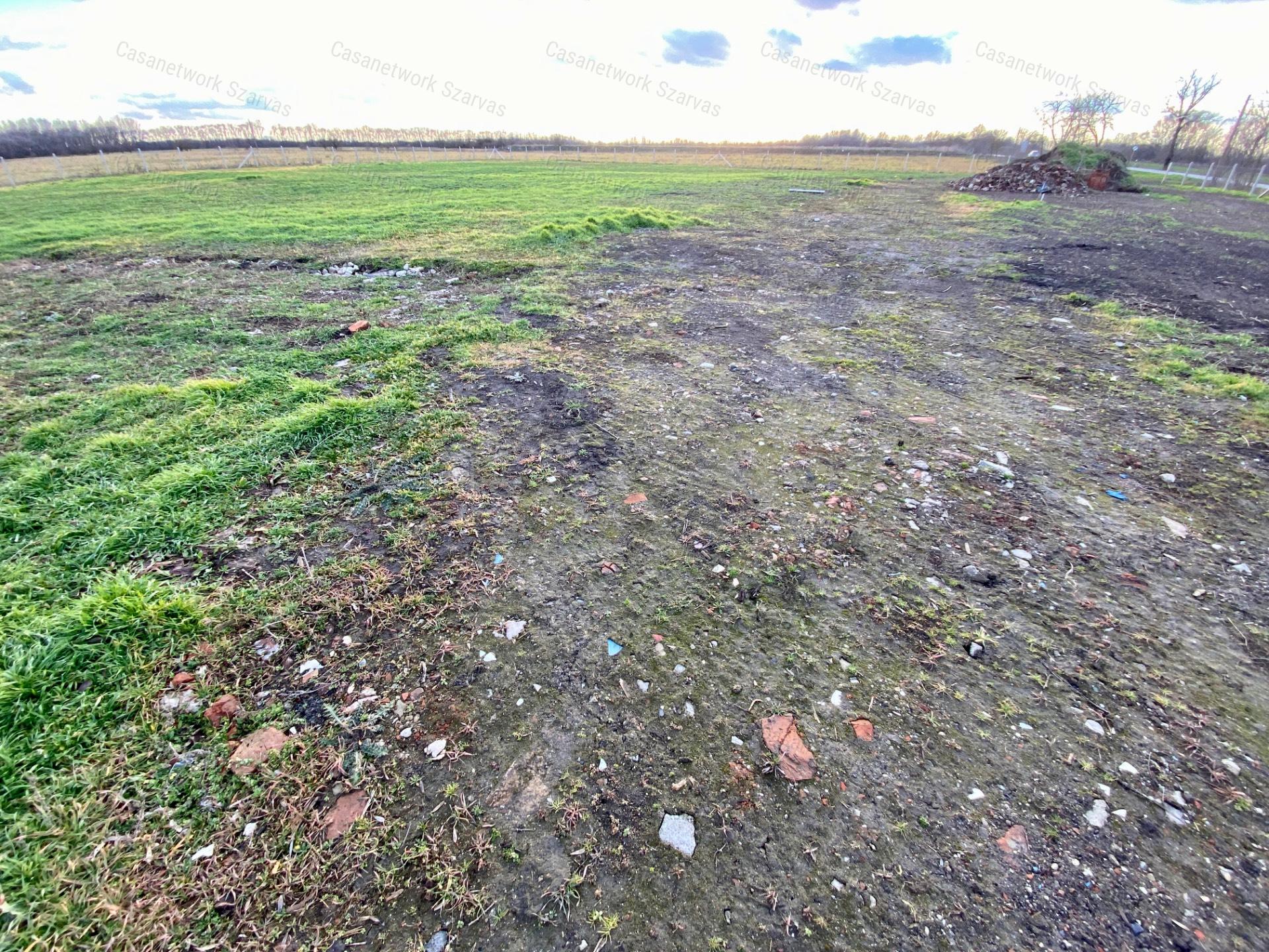 Szarvas külterületén, az M44-es gyorsforgalmi út közelében telek eladó