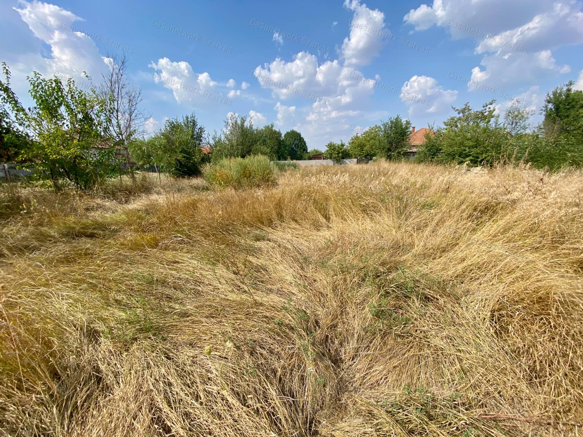 Gyomaendrődön, főútvonal mellett eladó egy 1053 nm-es építési telek