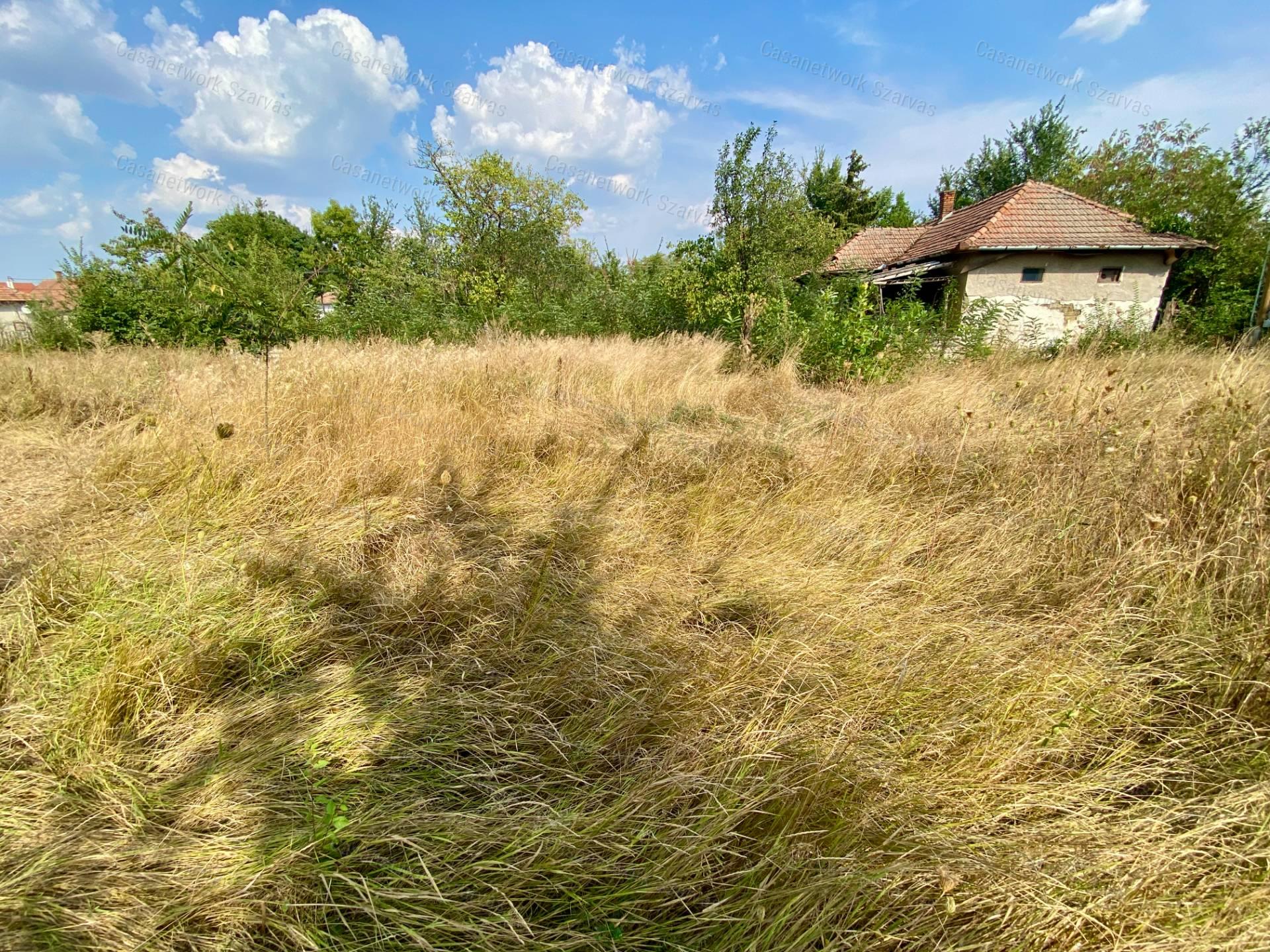 Gyomaendrődön, főútvonal mellett eladó egy 1053 nm-es építési telek