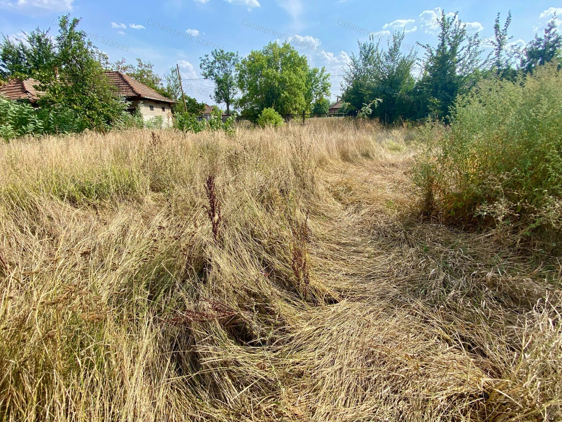 Gyomaendrődön, főútvonal mellett eladó egy 1053 nm-es építési telek