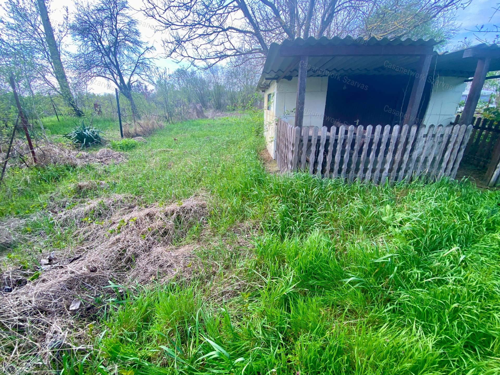 Gyomaendrődön Dan-zugban vízpartközeli zártkerti ingatlan vált eladóvá
