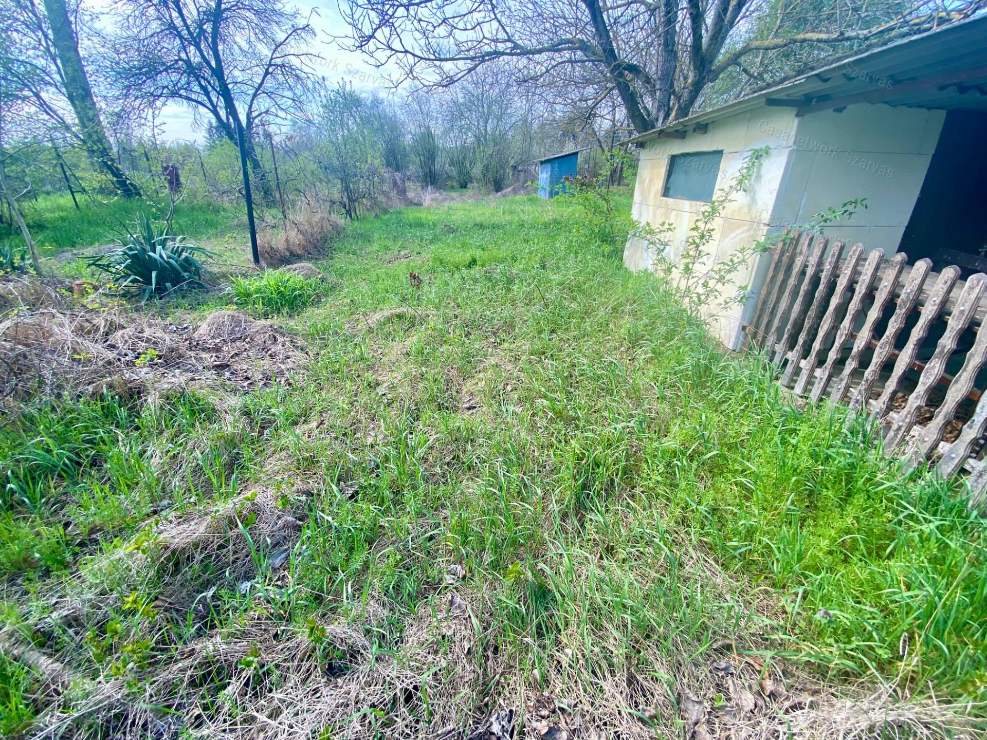 Gyomaendrődön Dan-zugban vízpartközeli zártkerti ingatlan vált eladóvá