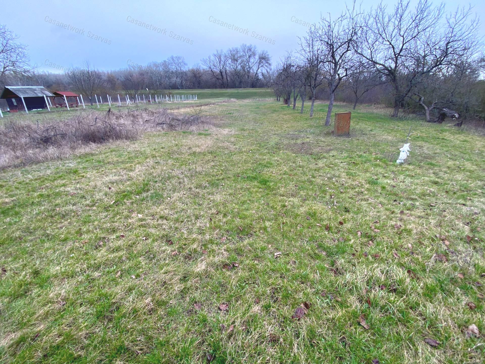 Gyomaendrődön, festői környezetben gyümölcsös, kert vált eladóvá