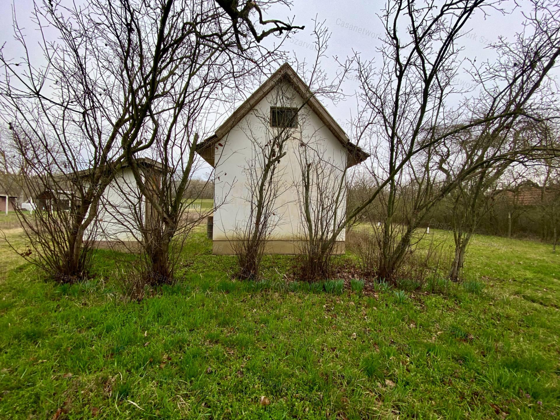 Gyomaendrődön, festői környezetben gyümölcsös, kert vált eladóvá