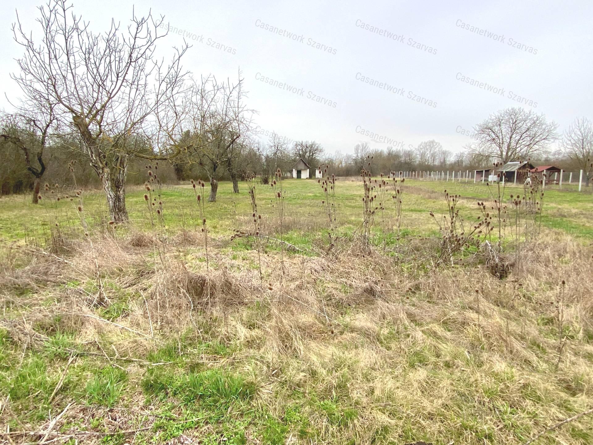 Gyomaendrődön, festői környezetben gyümölcsös, kert vált eladóvá