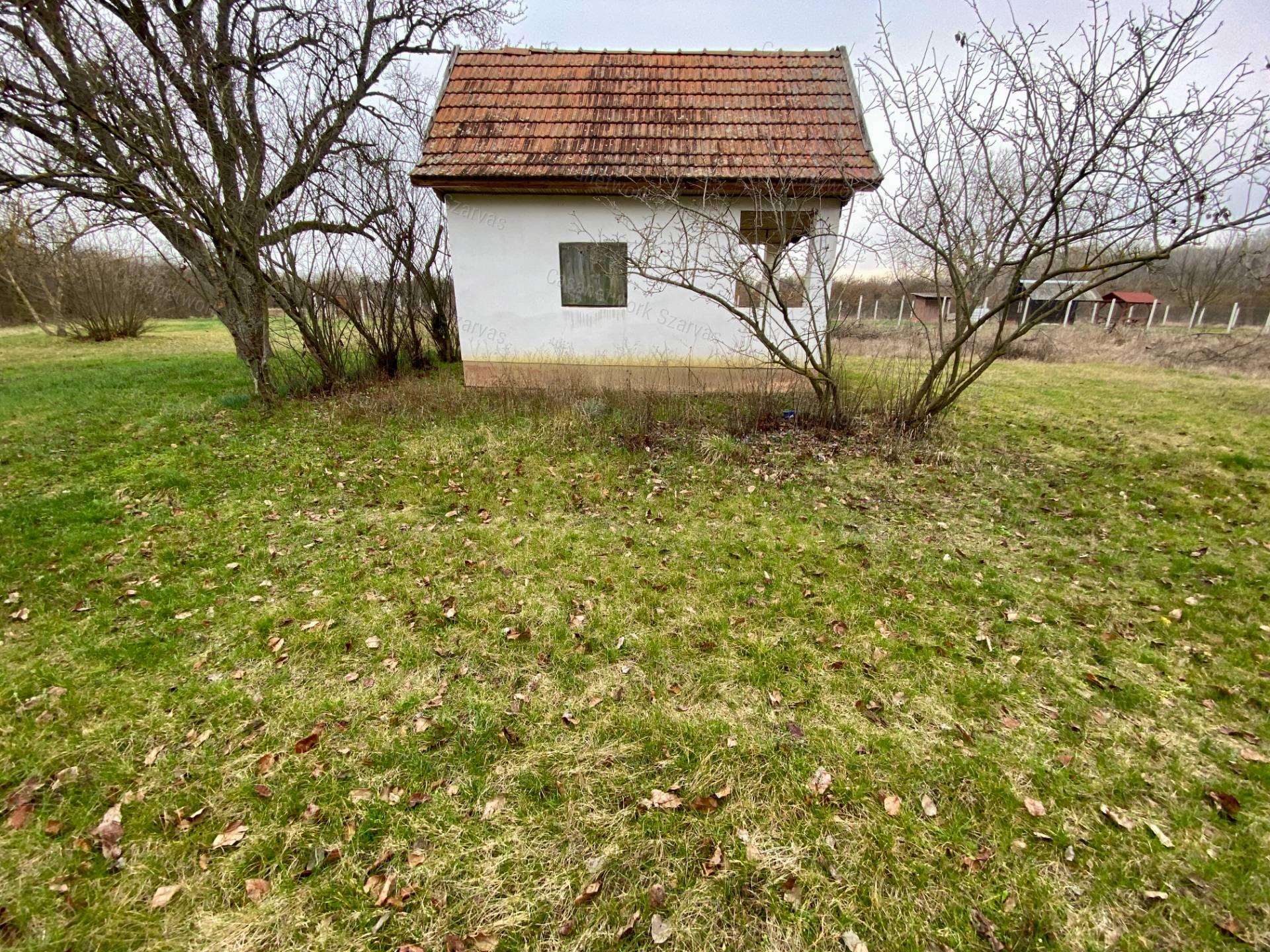 Gyomaendrődön, festői környezetben gyümölcsös, kert vált eladóvá