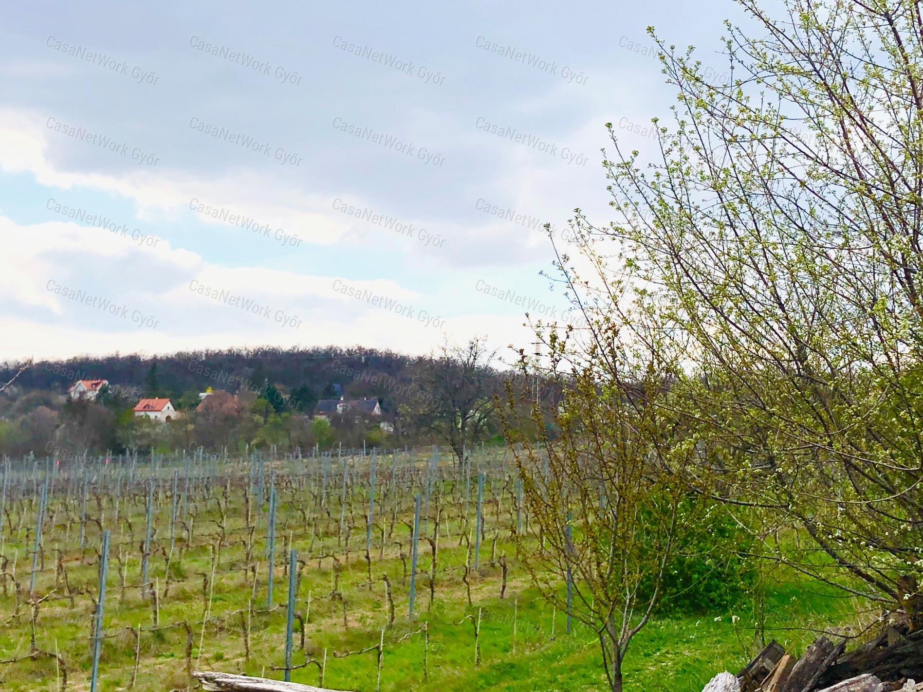 Privát Birtok a Balaton felett - Szőlőbirtok Örök Panorámával