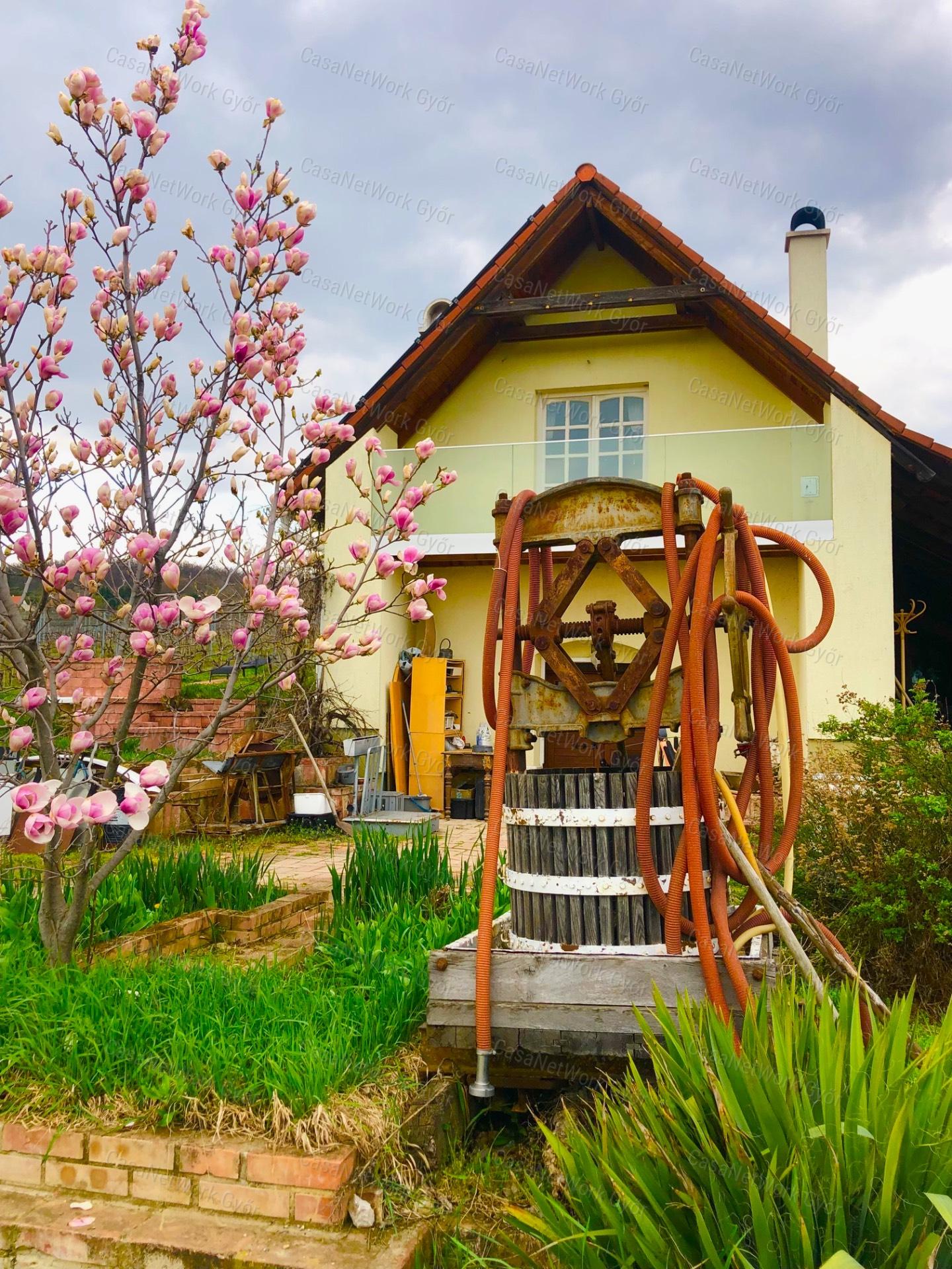 Privát Birtok a Balaton felett - Szőlőbirtok Örök Panorámával
