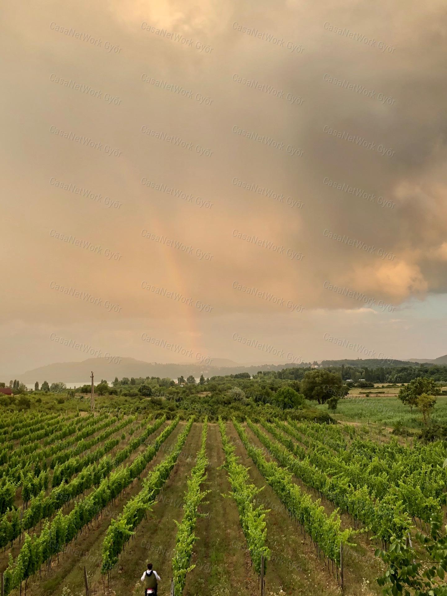 Elvehetetlen panorámás szőlőbirtok eladó Balatonfüreden